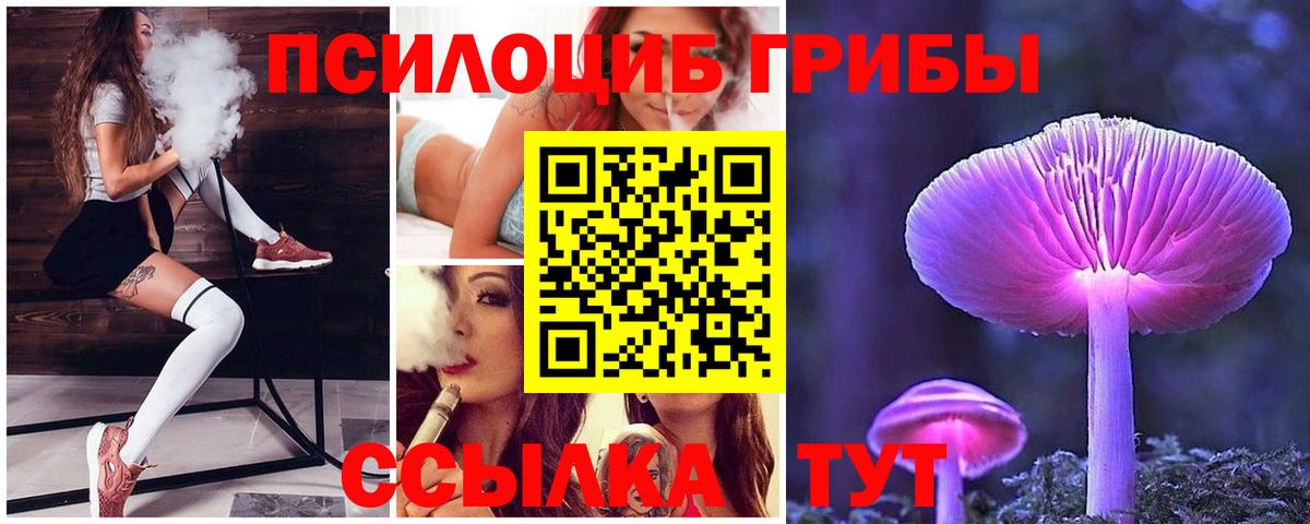 Псилоцибиновые грибы Cubensis Урай