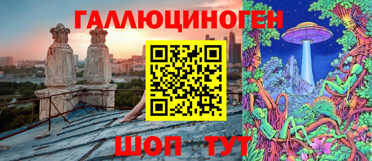 Галлюциногенные грибы Psilocybine cubensis  Урай 