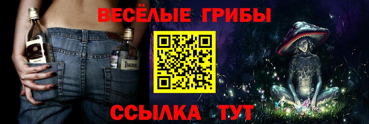 Галлюциногенные грибы Psilocybine cubensis Урай